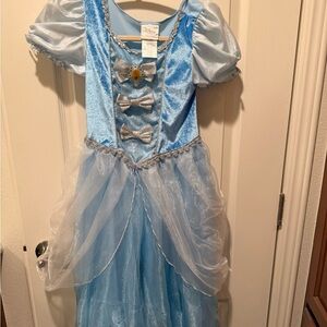Disney Cinderella Dress Costume